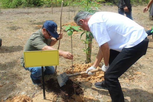 Belantara Foundation dan Mitra Tanam Pohon di Tahura Sultan Syarif Hasyim